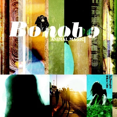 ANIMAL MAGIC / Bonobo