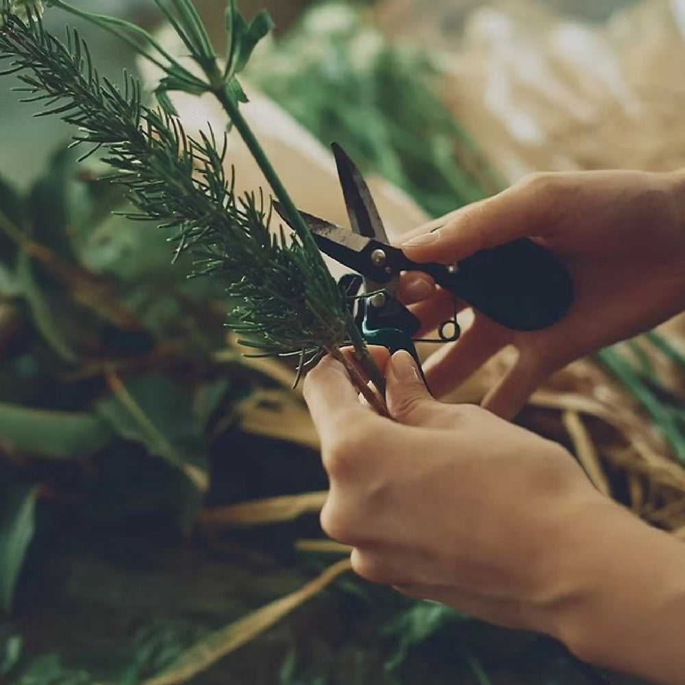 2026 Spring / Summer