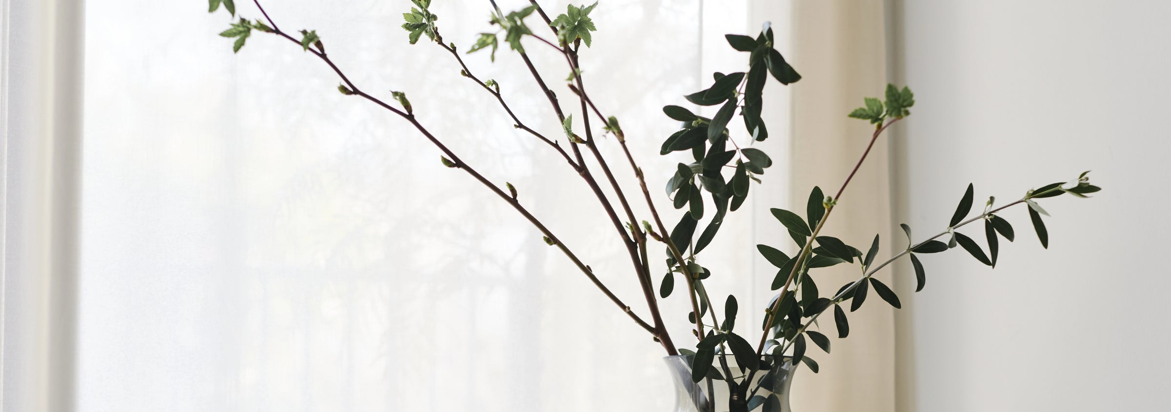 オンラインショップはこちら