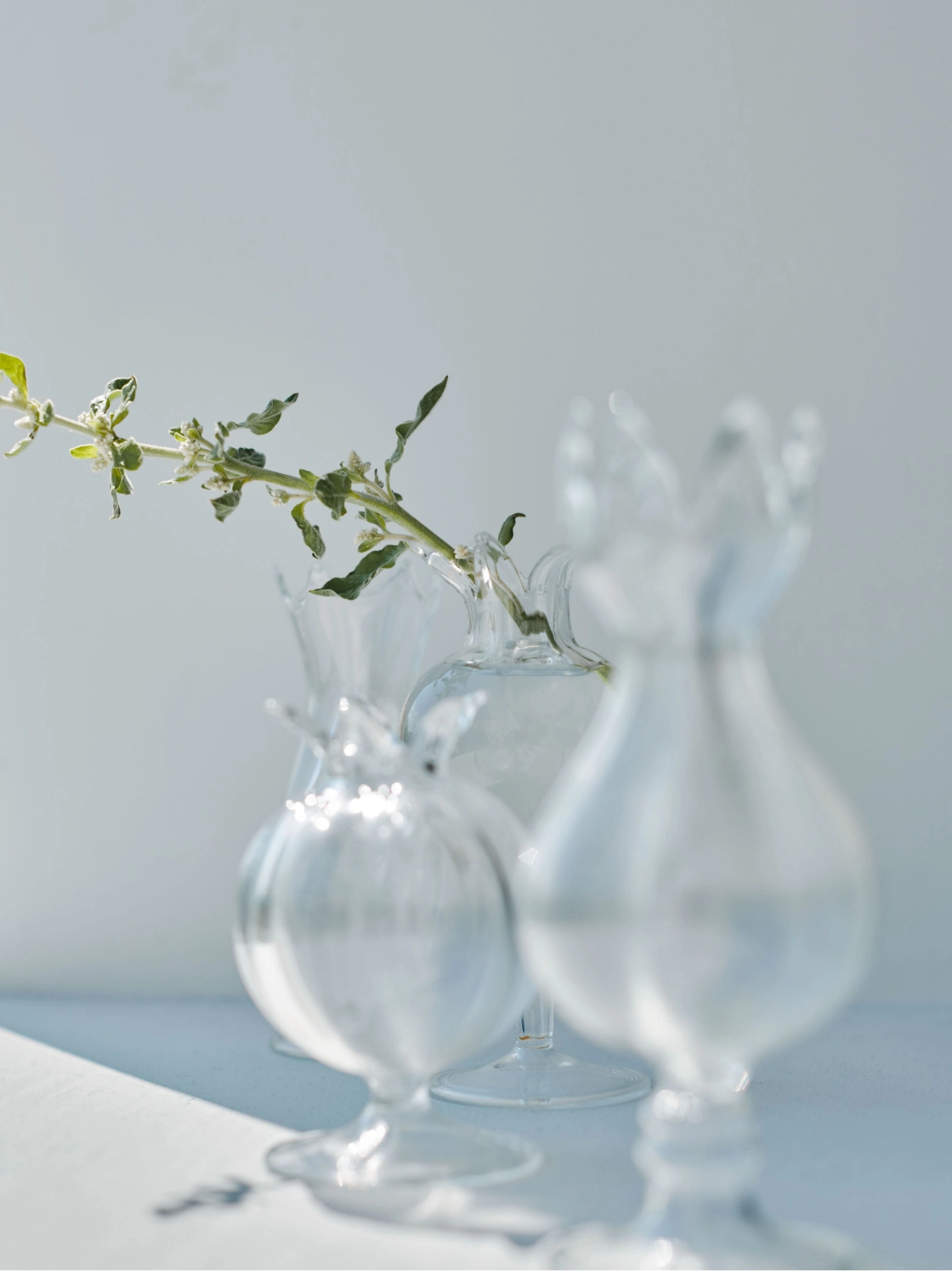 Weekly<br>Watch List